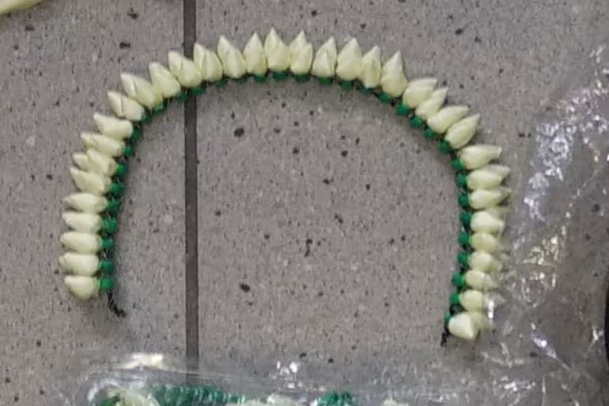 Bando jasmin